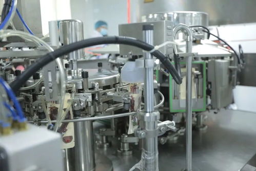 做一只醬鴨原來有這么多講究,看現代工藝如何還原老底子的味道